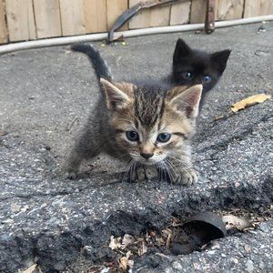 Meet your Posher, Jorge's